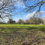 Terrain constructible à Bosquentin près de Lyons La Forêt