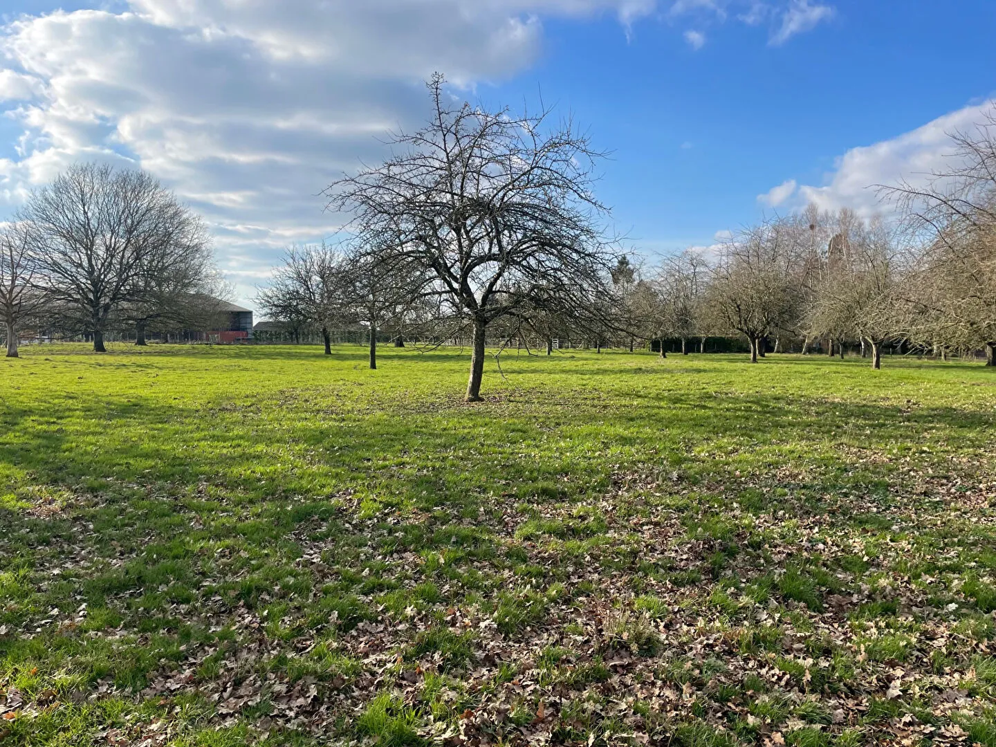 Terrain constructible à Bosquentin près de Lyons La Forêt 