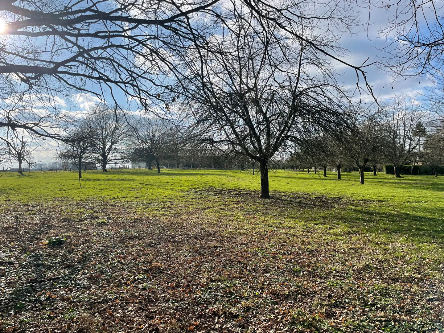 Terrain constructible à Bosquentin près de Lyons La Forêt 