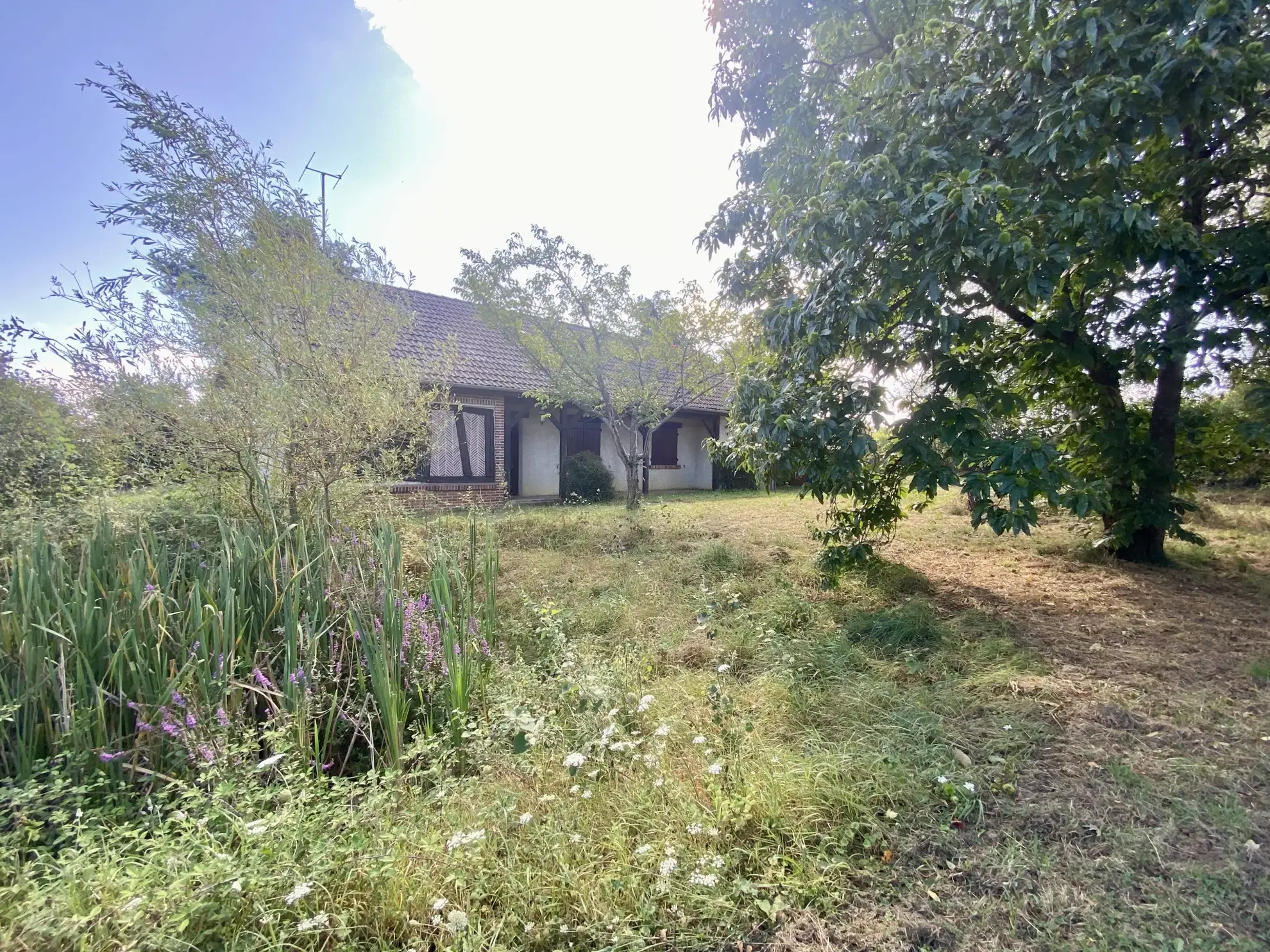 Maison à la campagne à Dampierre-en-Gracay avec jardin de 1840m² 