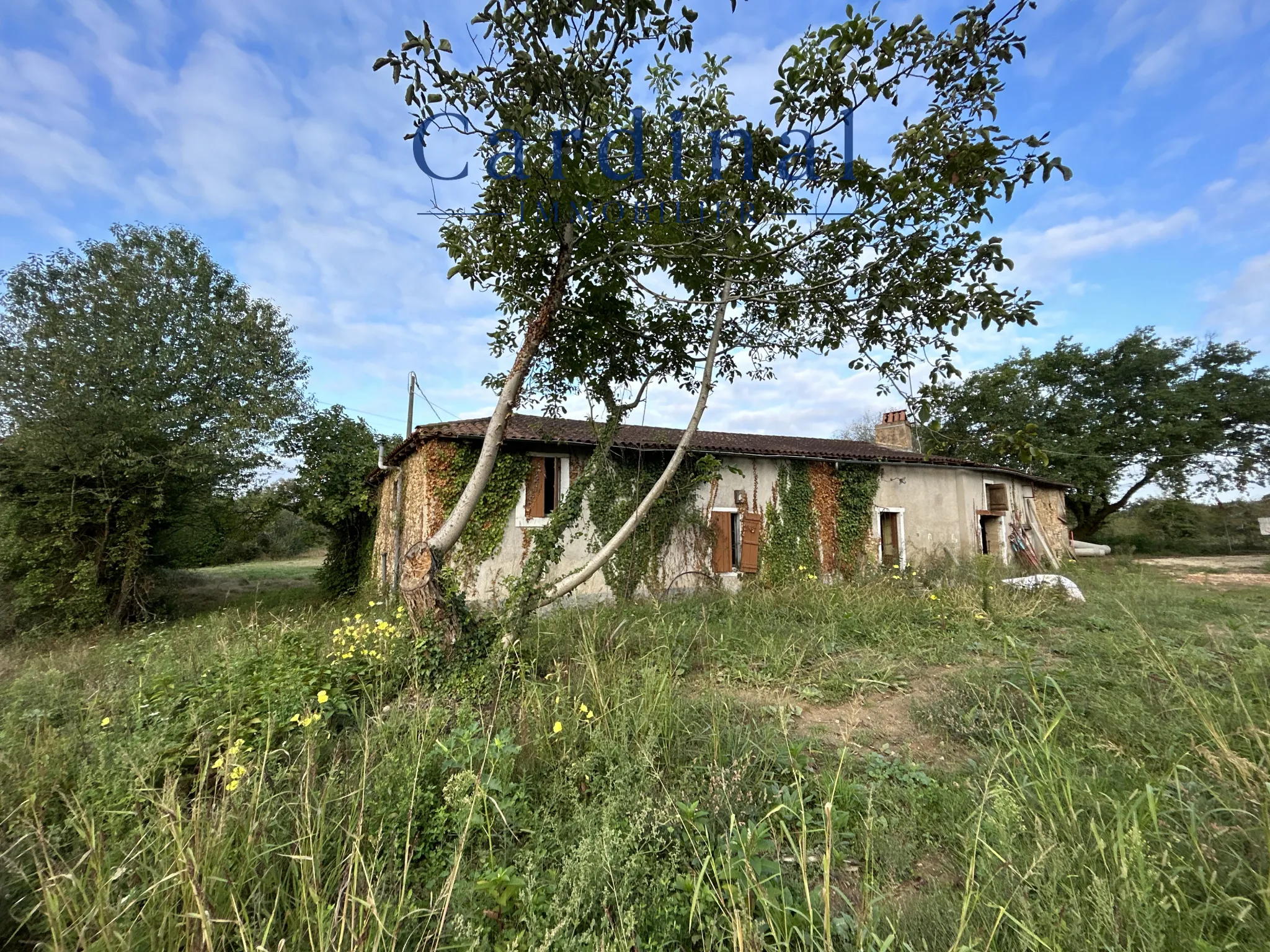 À saisir : Maison à rénover 160 m2 sur un parc de 4870 m2 à Coursac 