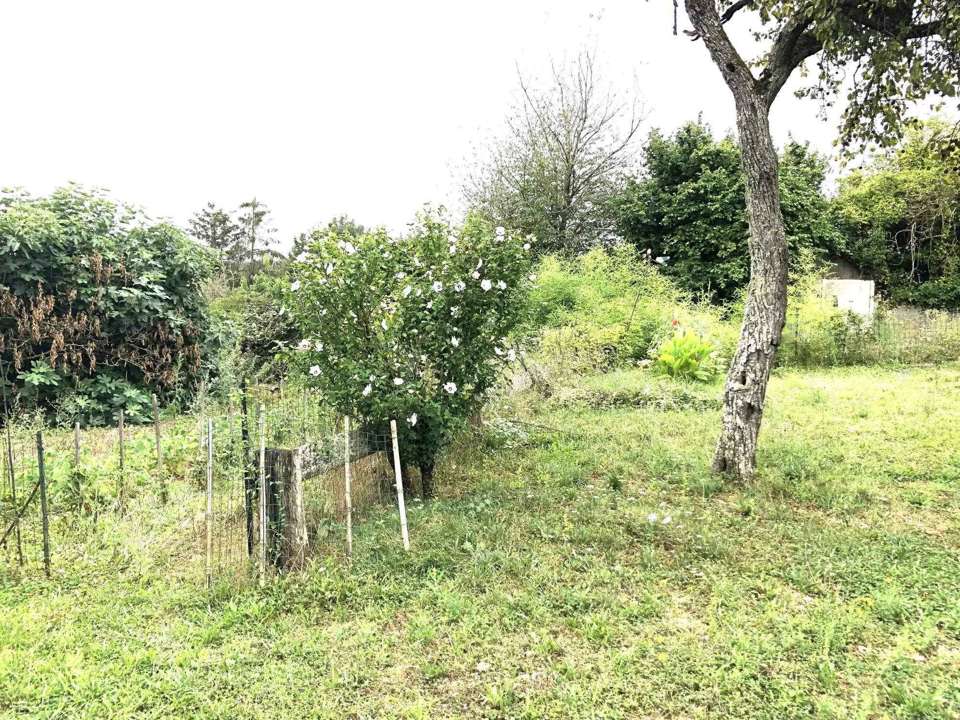 Maison 5 pièces à vendre près de Prémery Est 