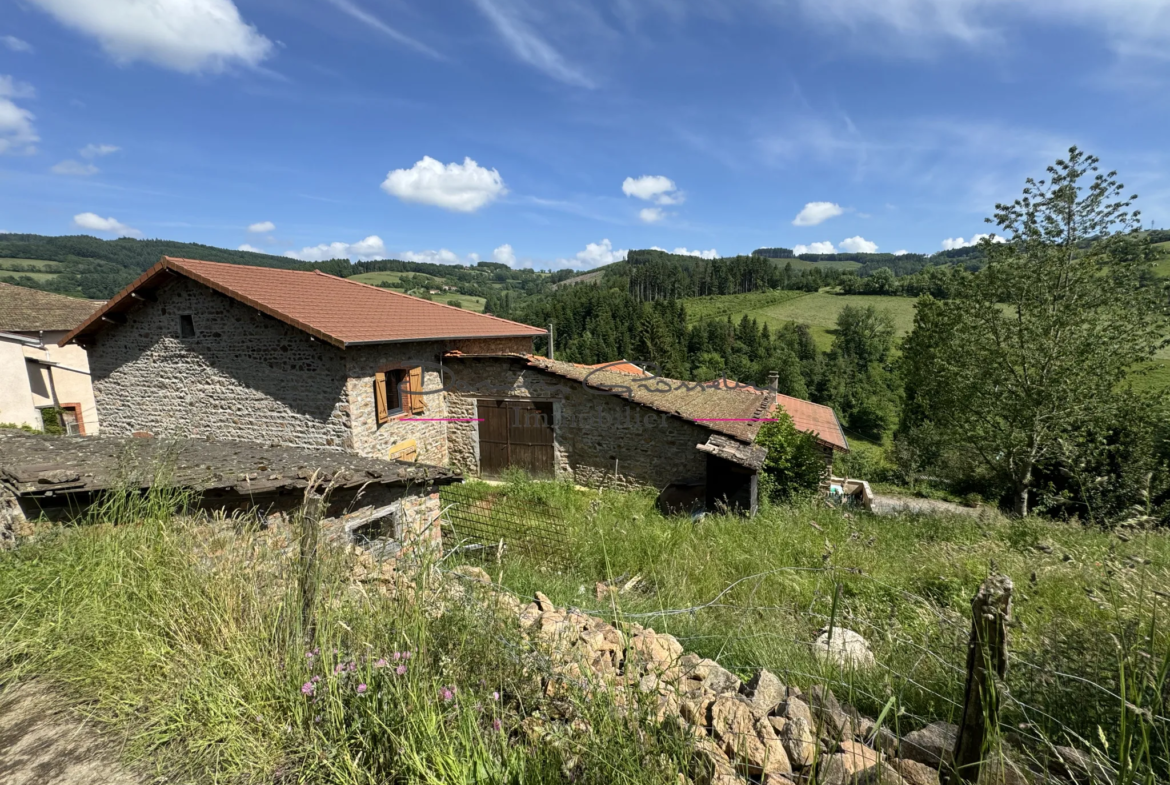 Maison de 2 Plateaux à Rénover à Thizy-les-Bourgs 