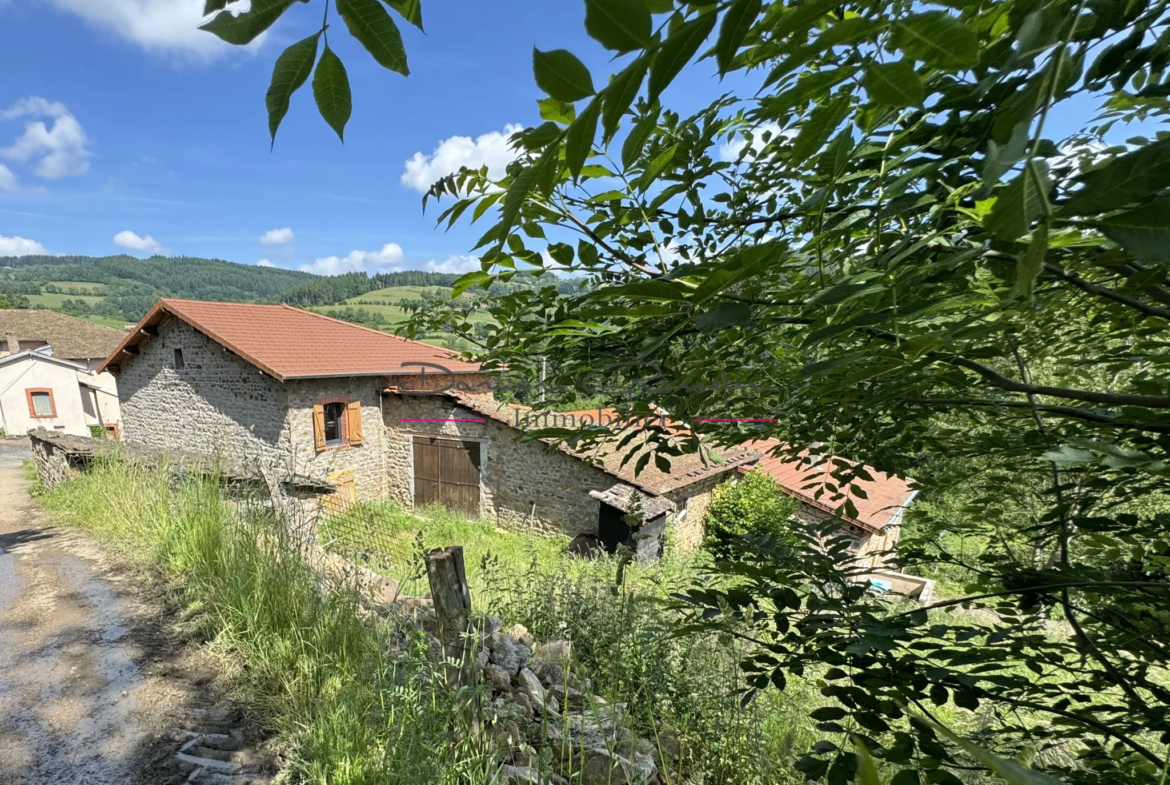 Maison de 2 Plateaux à Rénover à Thizy-les-Bourgs 