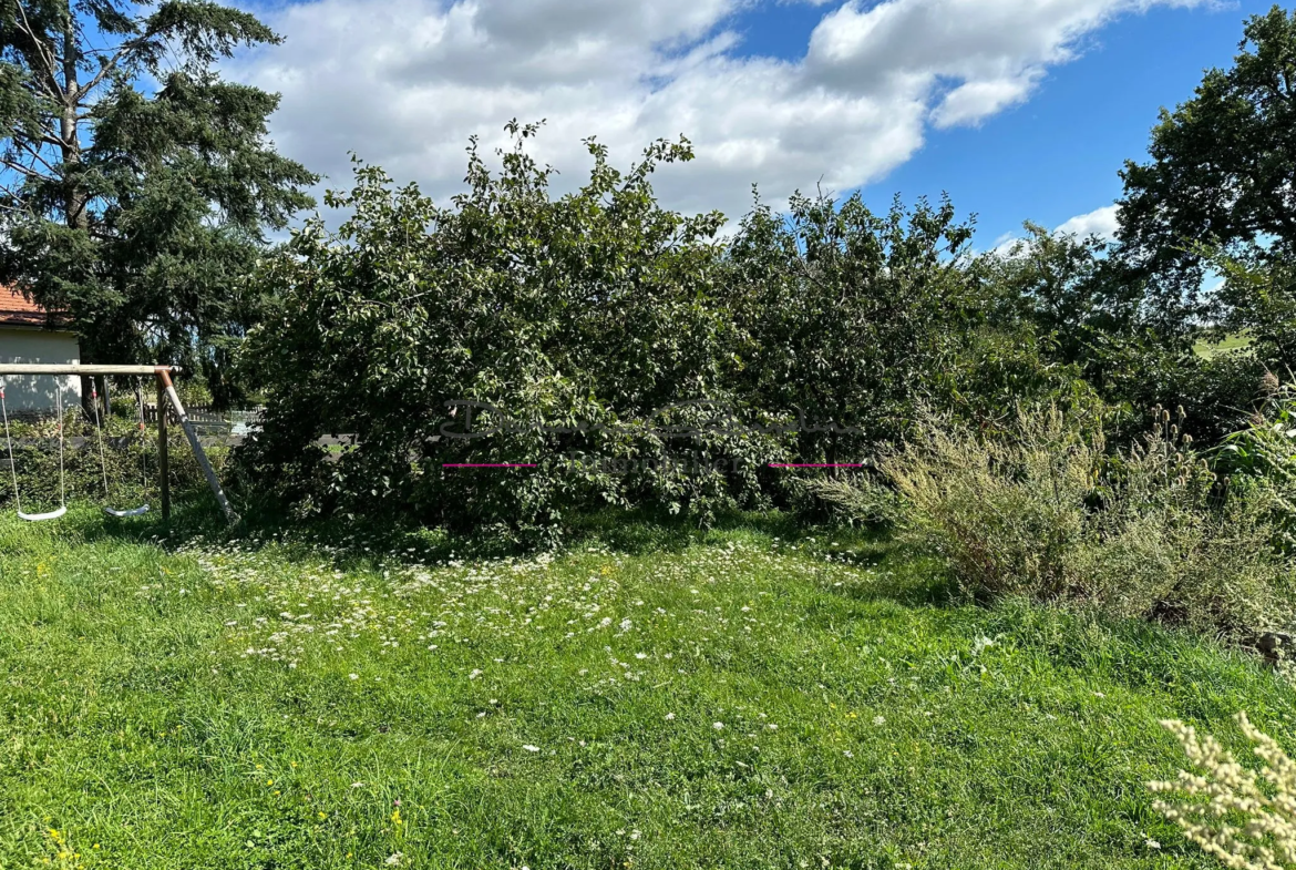 Maison familiale à Neulise avec jardin et dépendance 