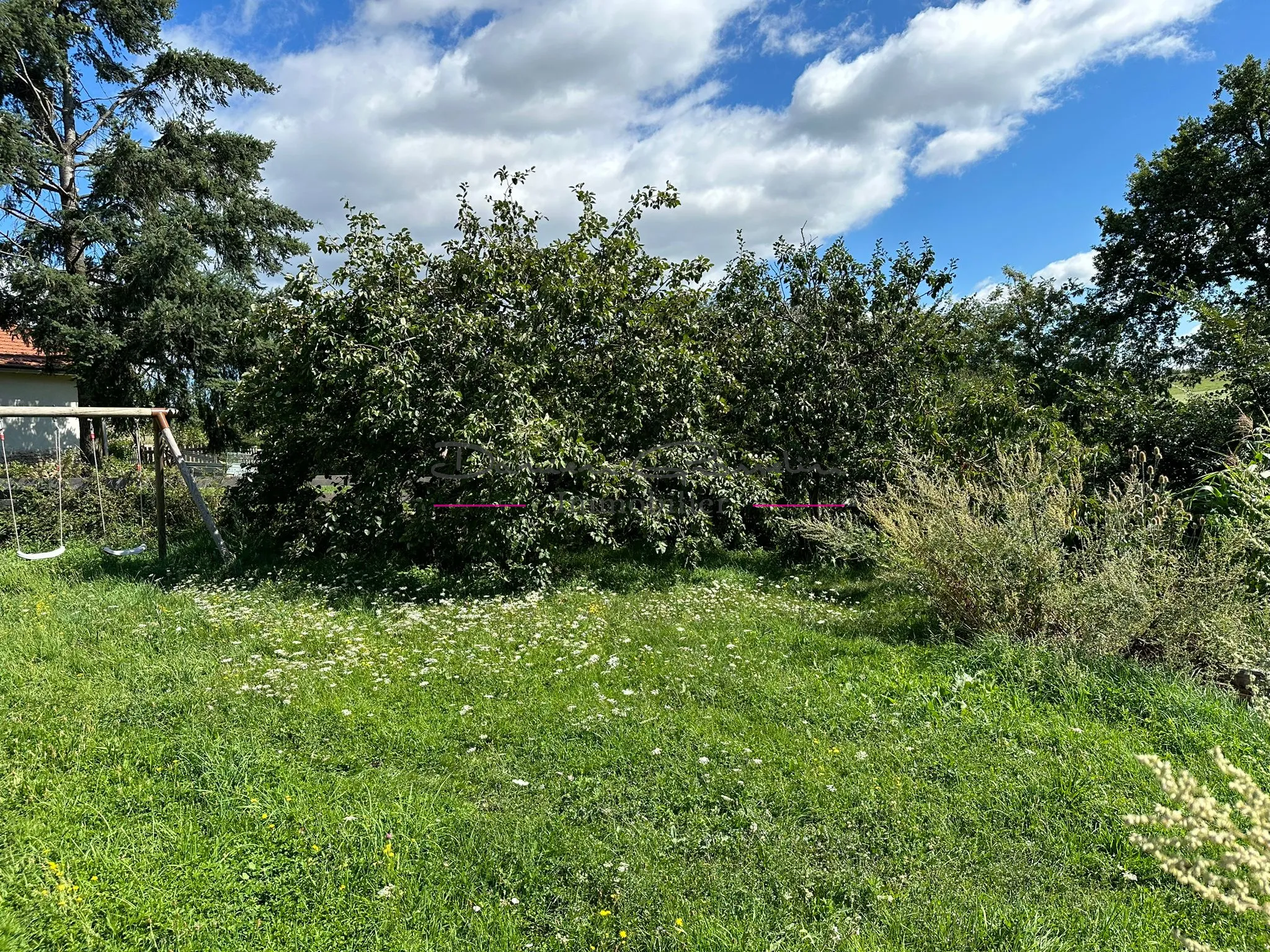 Maison familiale à Neulise avec jardin et dépendance 