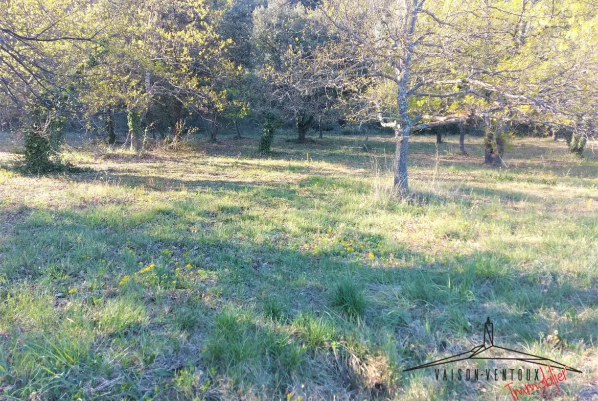 Terrain arboré de 1350 m² avec permis de construire à Vaison la Romaine 