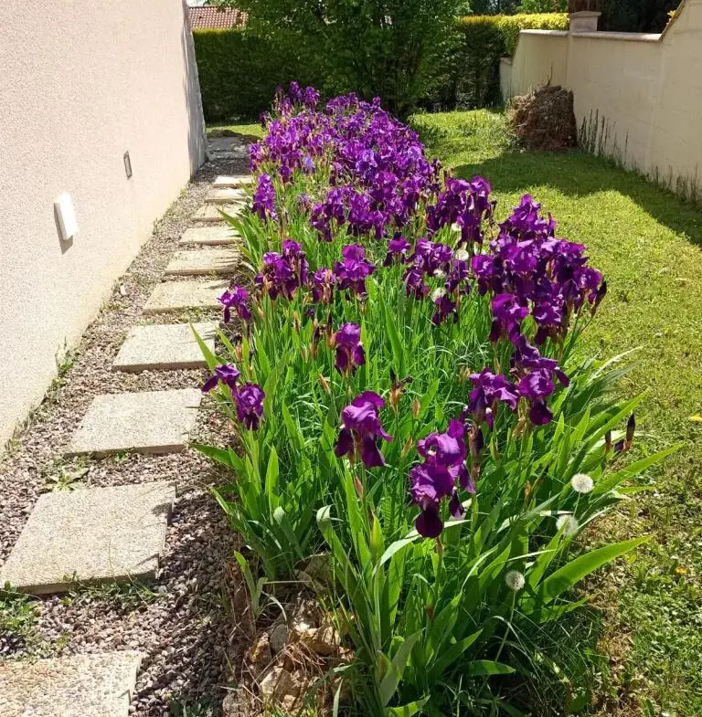 Maison avec jardin à vendre à Moissat 