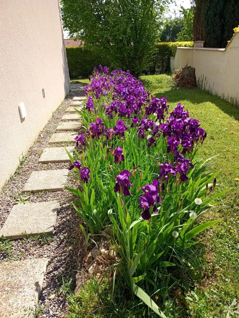 Maison avec jardin à vendre à Moissat 