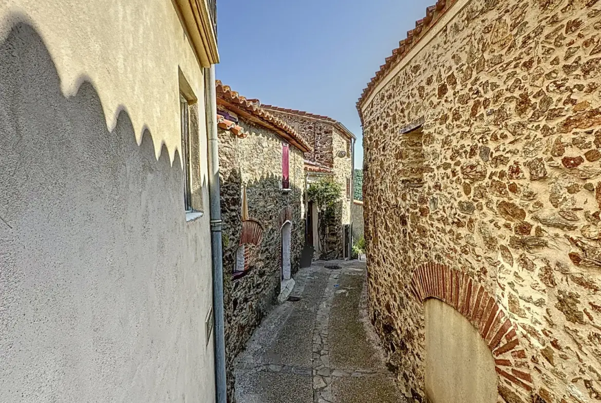 Maison de Village avec Terrasse et Garage à Oms 