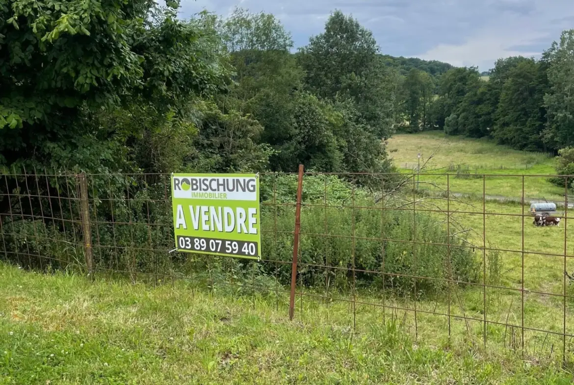 Terrain à vendre à Roppentzwiller avec vue sur le Jura 