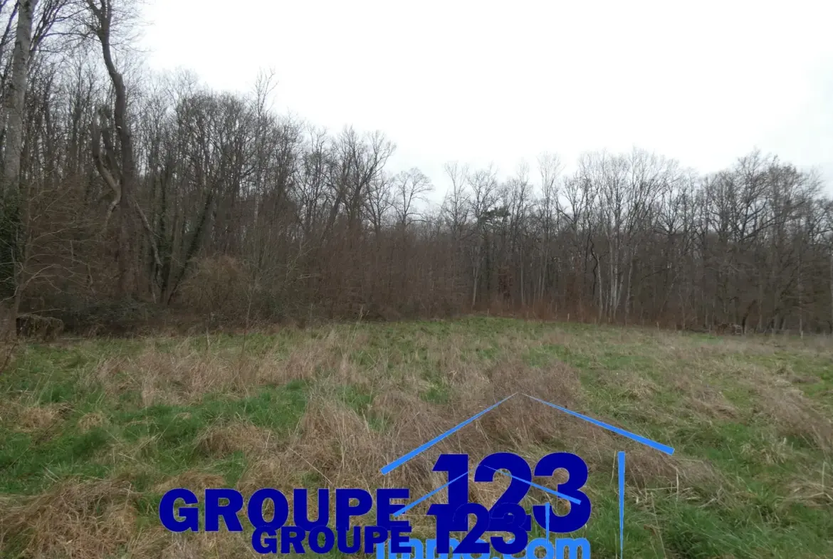 Terrain à bâtir de 2247 m2 à Appoigny, idéal pour votre maison 