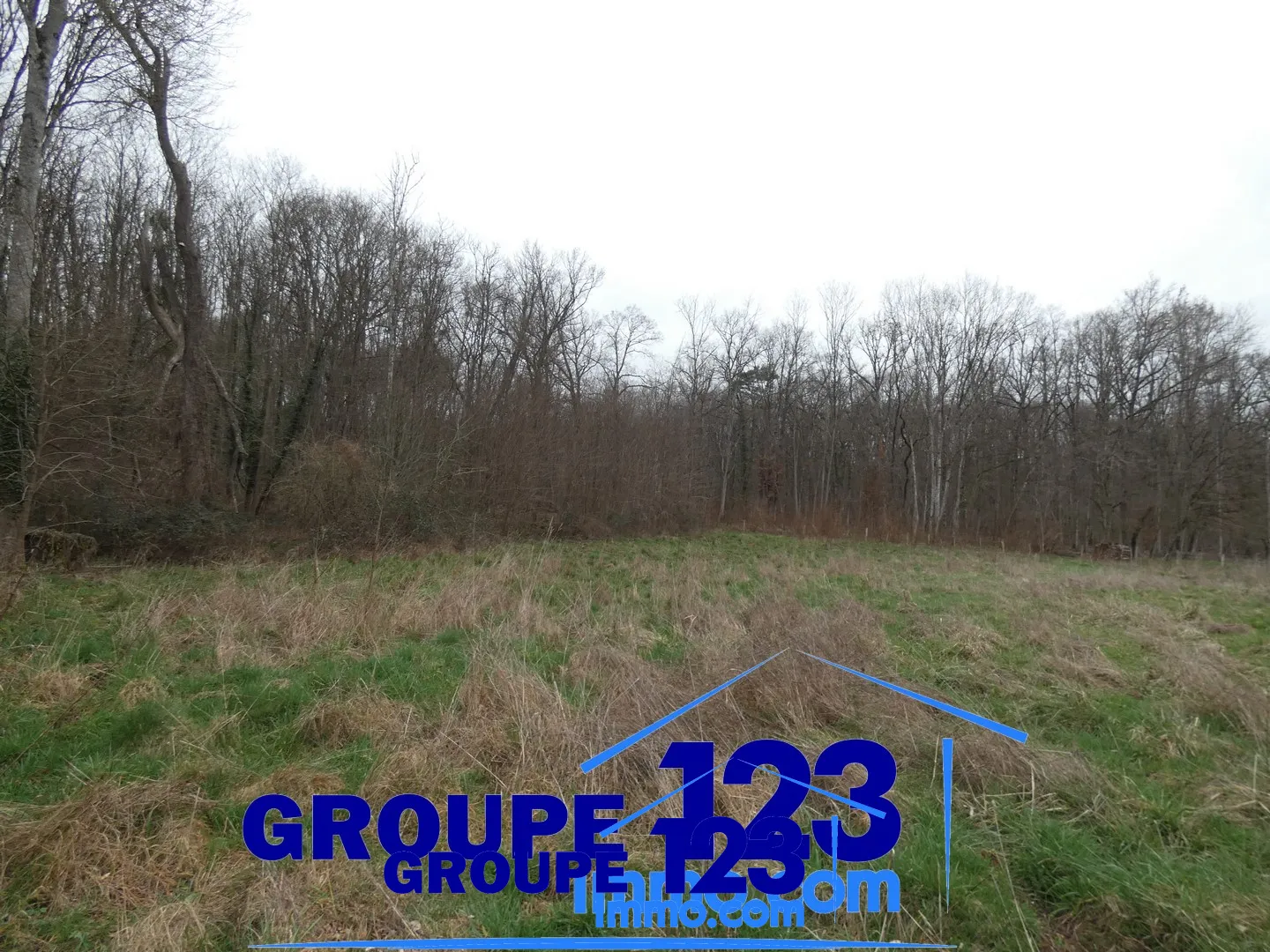 Terrain à bâtir de 2247 m2 à Appoigny, idéal pour votre maison 