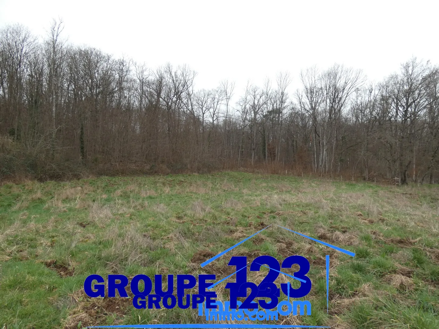 Terrain à bâtir de 2247 m2 à Appoigny, idéal pour votre maison 