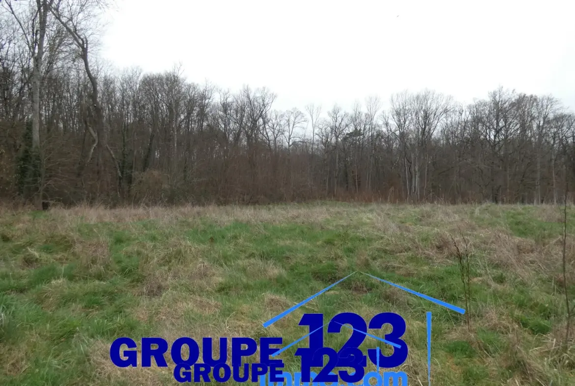 Terrain à bâtir de 2247 m2 à Appoigny, idéal pour votre maison 