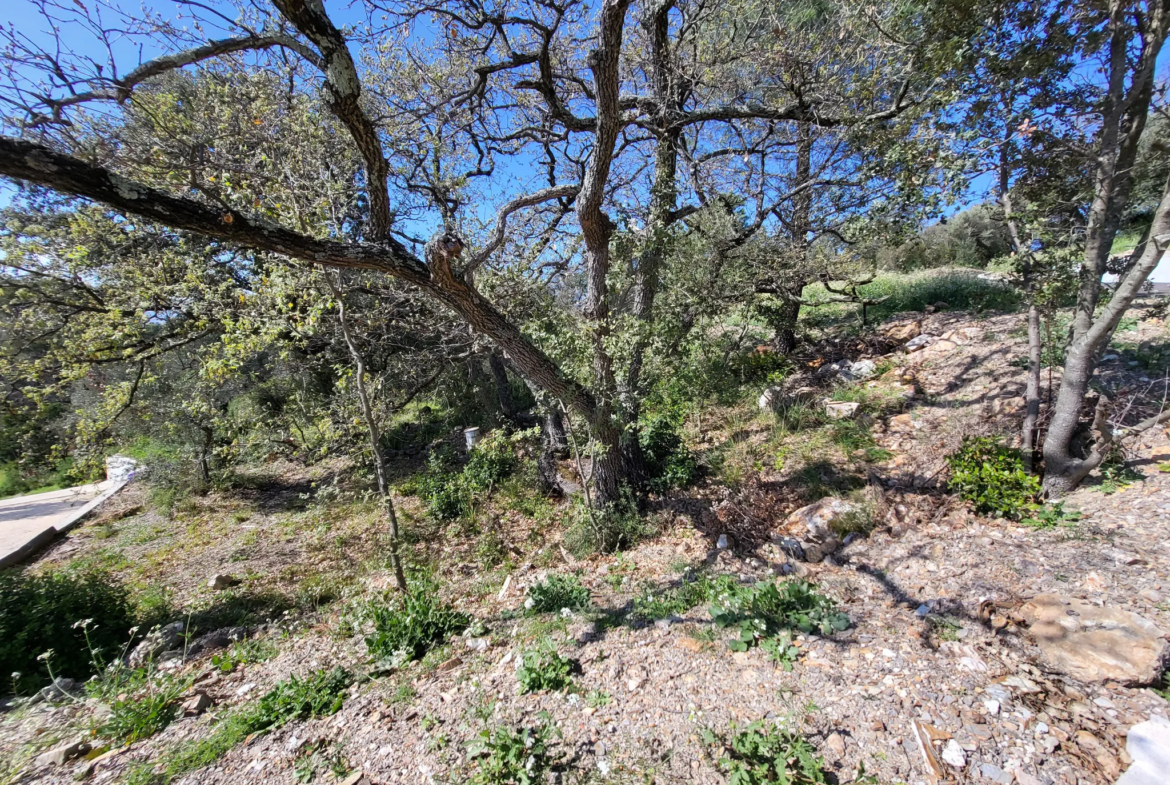 Terrain à bâtir à Pierrefeu du Var - 494 m2 avec vue dominante 