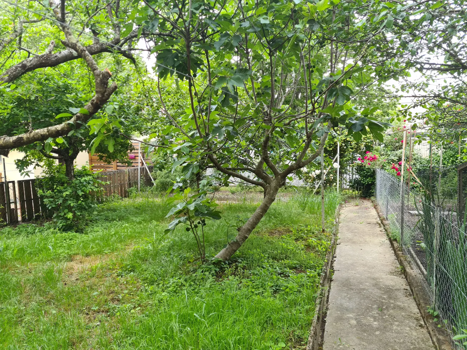 Maison de type Provence à Castres avec jardin et garage 