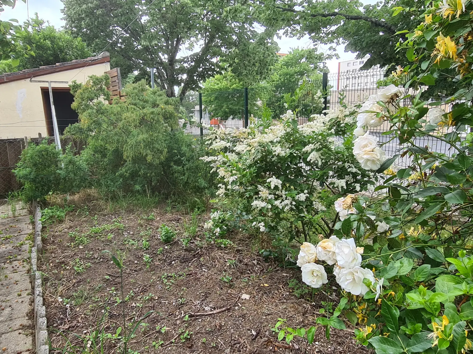 Maison de type Provence à Castres avec jardin et garage 