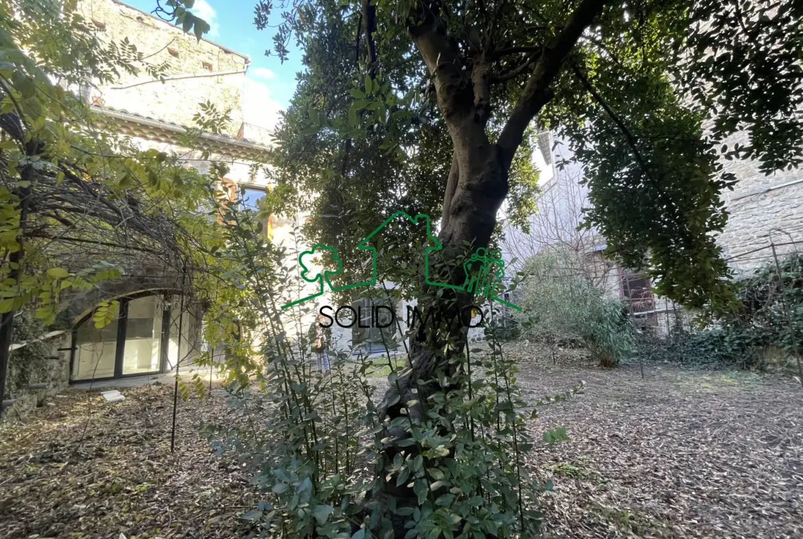 Maison en pierres avec jardin à Aubenas 