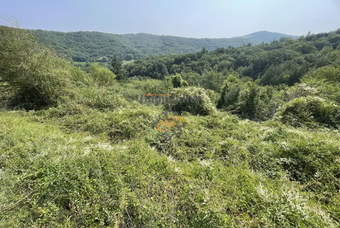 Vente maison de village avec terrasses à Broquiès 