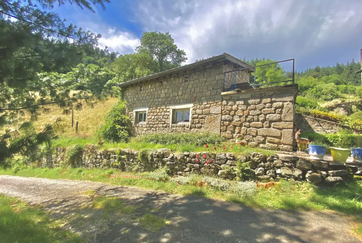 Ancienne ferme de 110 m² avec grange et terrain à Saint-Sauveur-en-Rue 