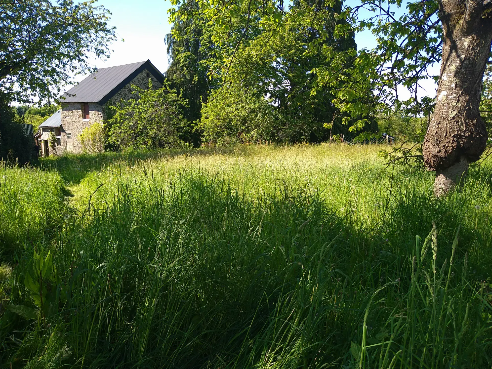 Maison de campagne de 174,82 m² à vendre à Chevaigne du Maine 