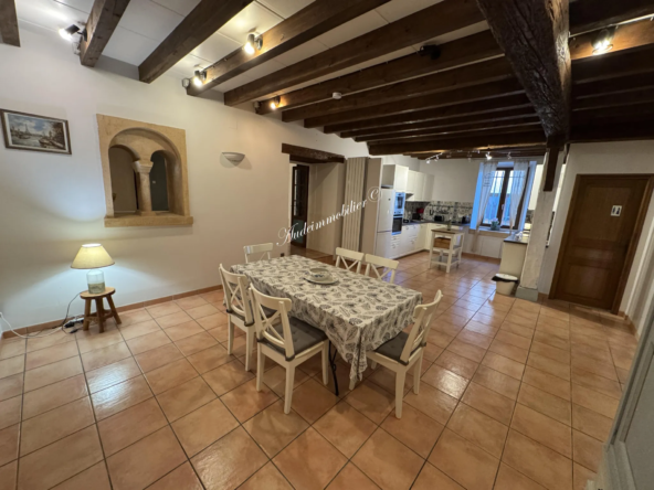 Grande maison en pierres renouvelée à Limoux - ancien château