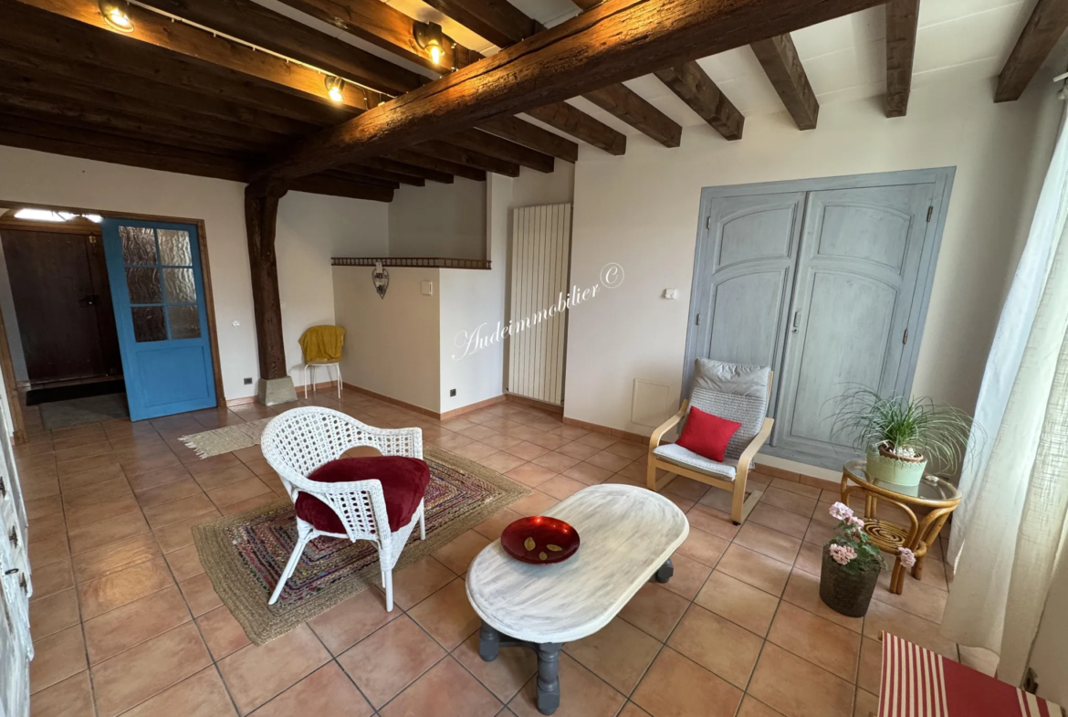 Grande maison en pierres renouvelée à Limoux - ancien château 