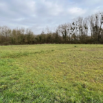 Terrain constructible à vendre à Sainte Hermine - 344 m²