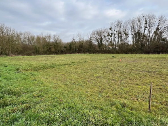 Terrain constructible à vendre à Sainte Hermine - 344 m²