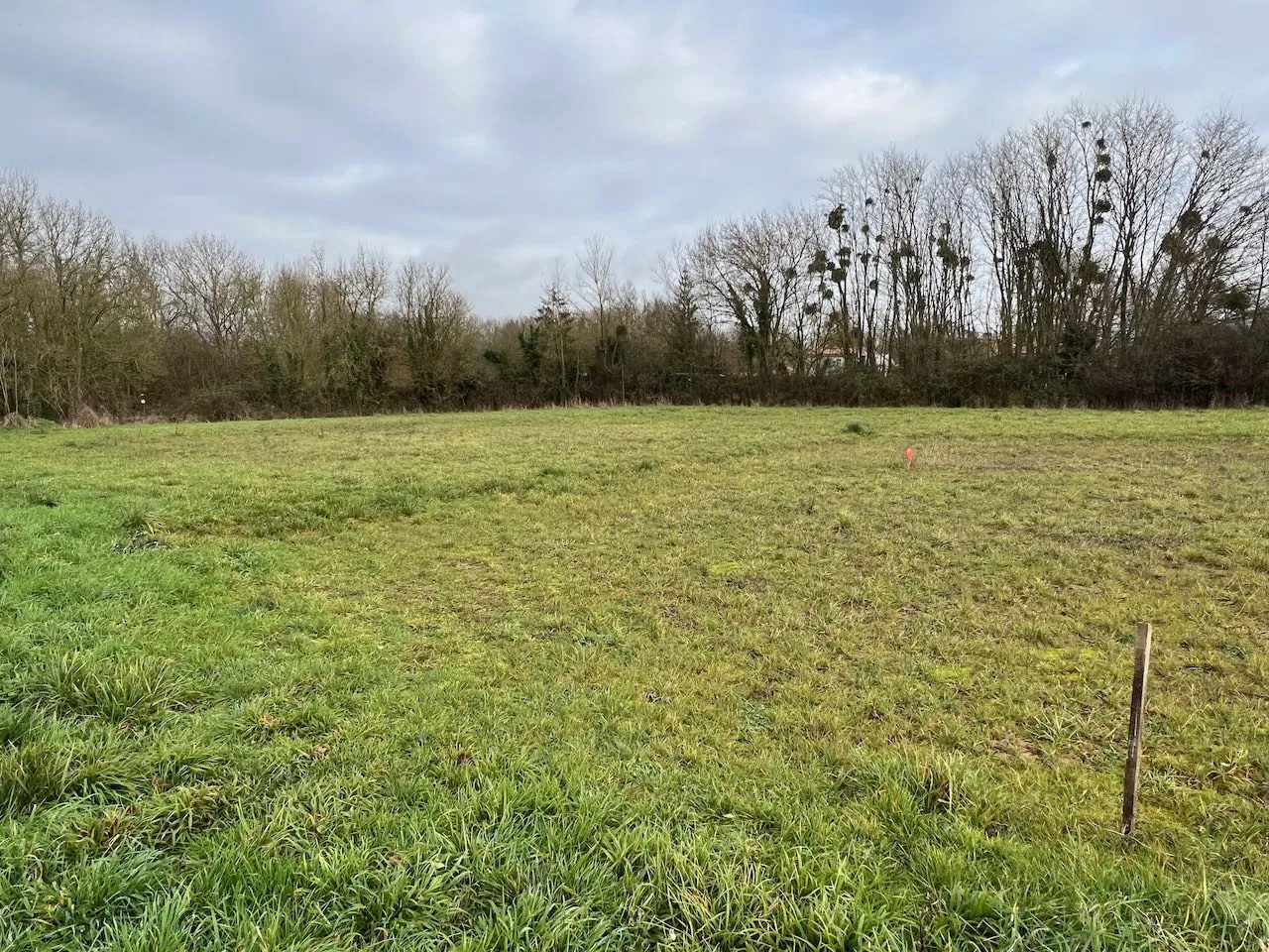 Terrain constructible à vendre à Sainte Hermine - 344 m² 