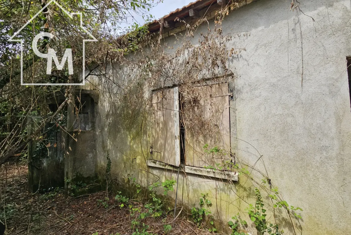 Maison plain pied avec jardin à Ségry (36) 