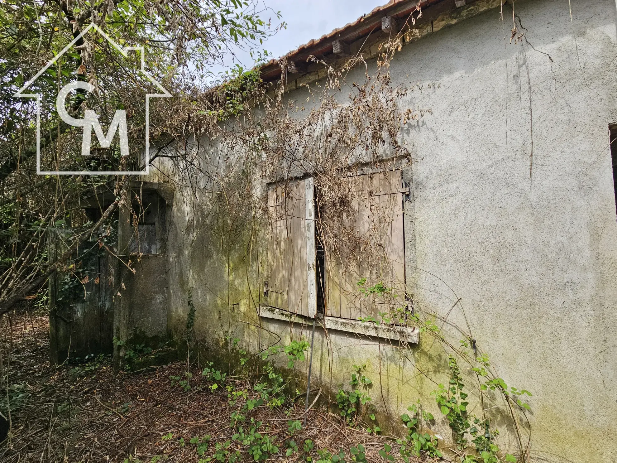 Maison plain pied avec jardin à Ségry (36) 