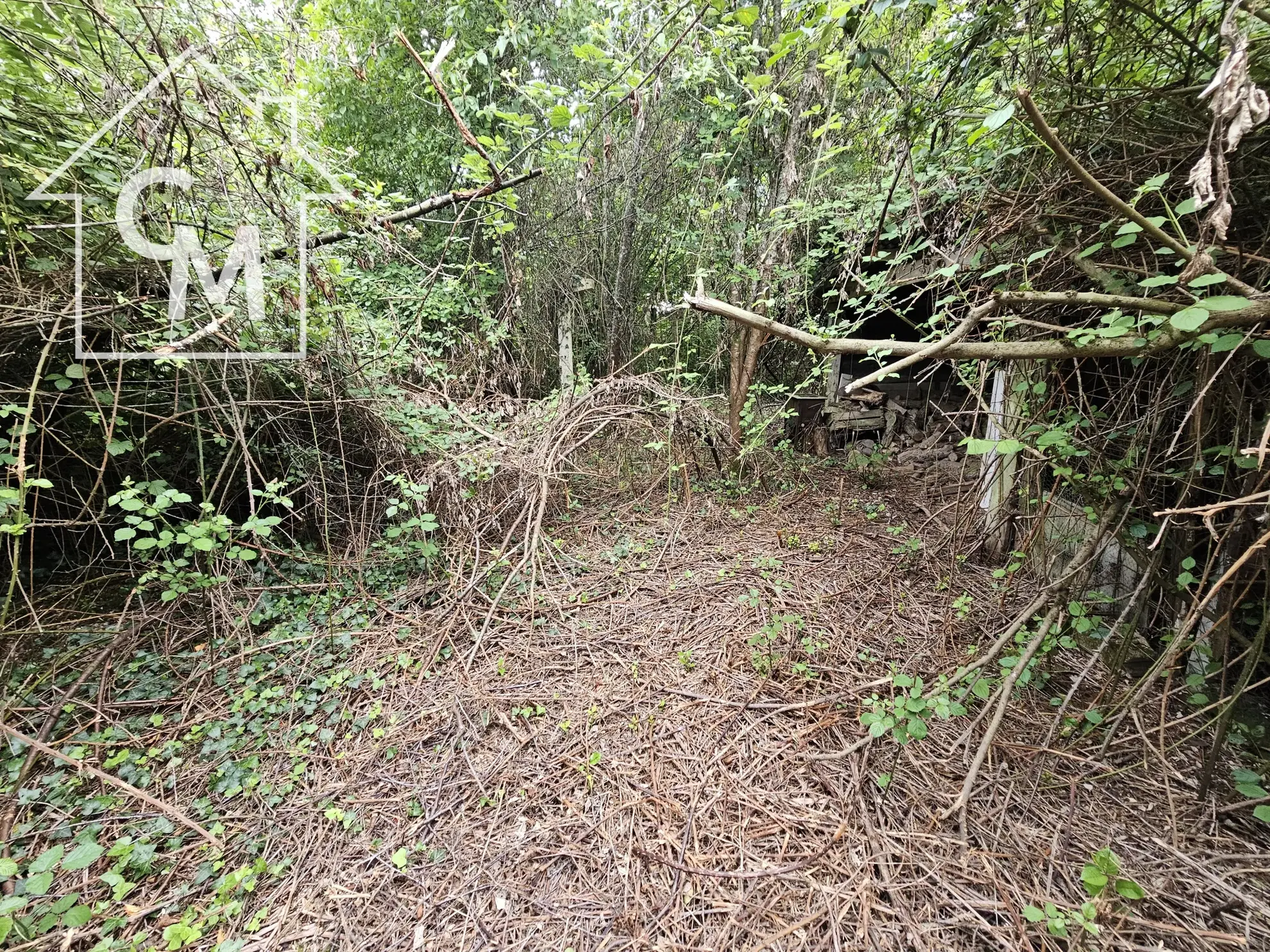 Maison plain pied avec jardin à Ségry (36) 