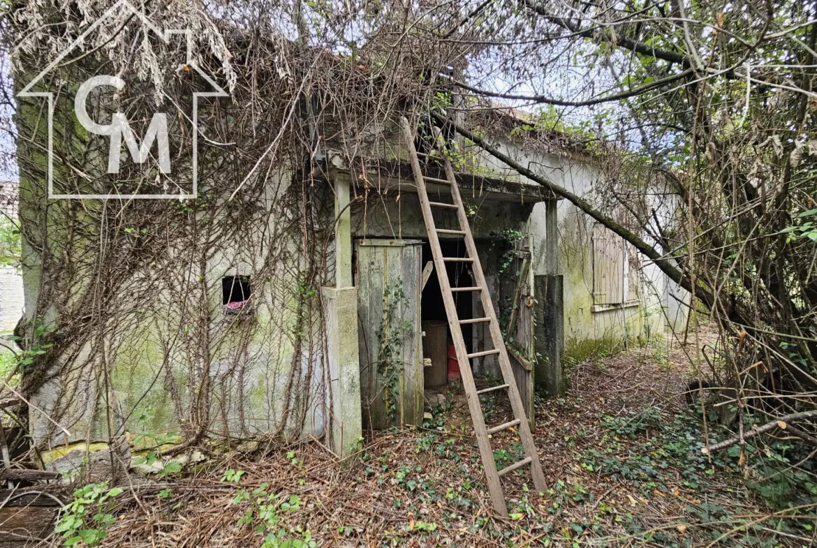 Maison plain pied avec jardin à Ségry (36) 