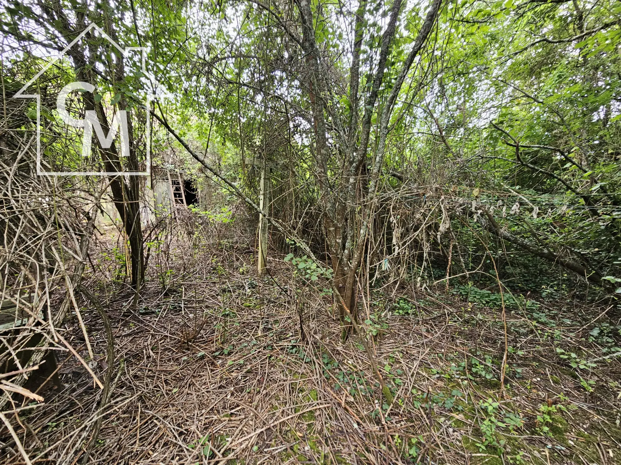 Maison plain pied avec jardin à Ségry (36) 