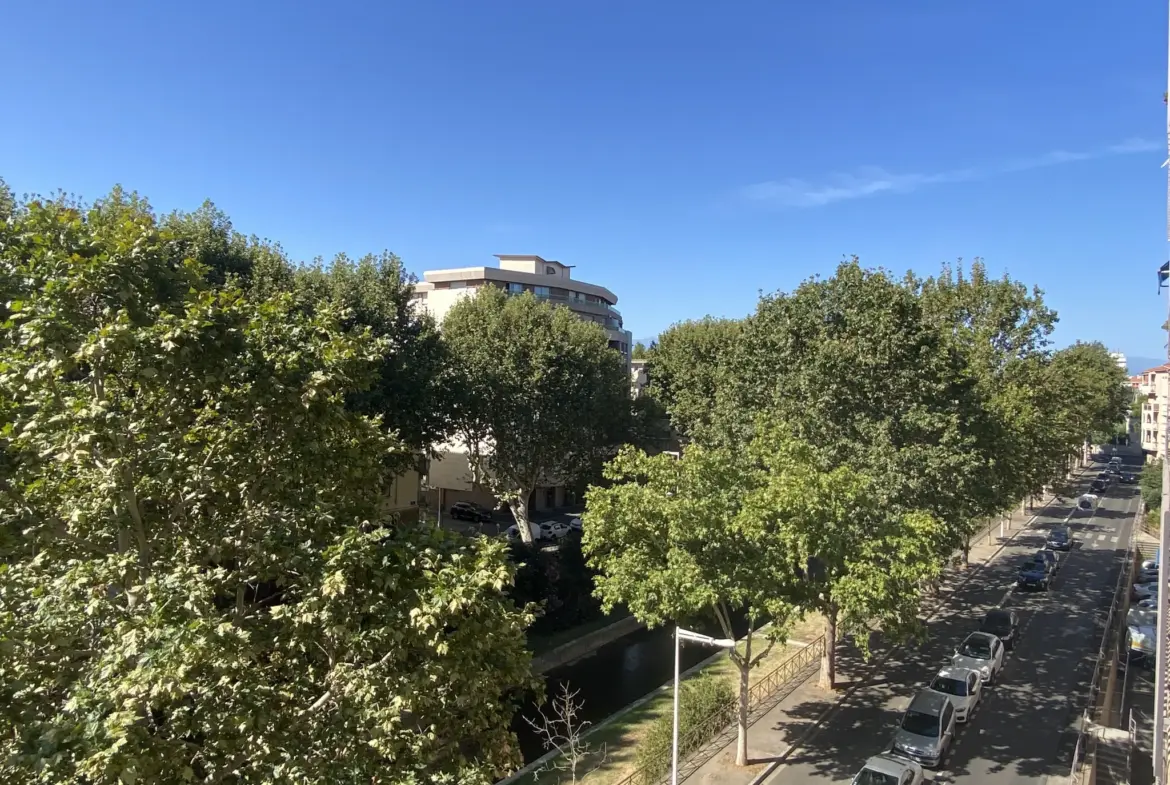 À vendre : Appartement T4 rénové avec vue sur les Quais à Perpignan 