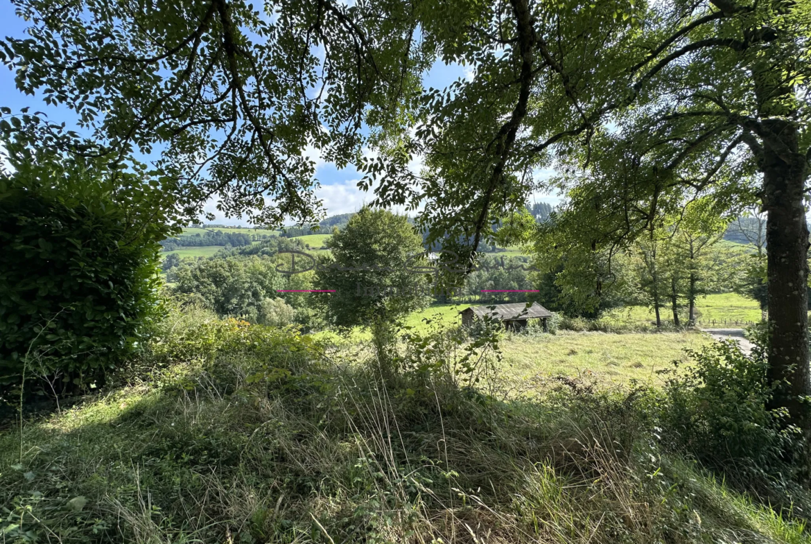 Maison d'Habitation avec Terrain à Thizy-les-Bourgs 