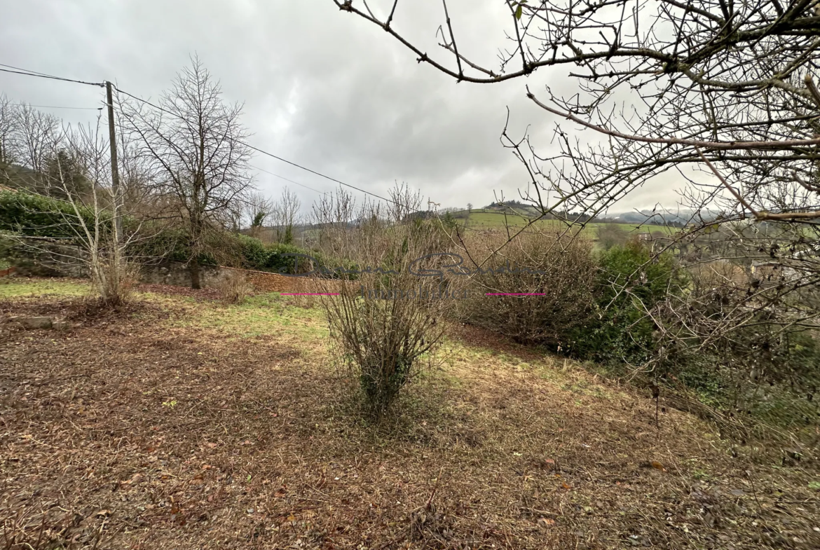 Maison d'Habitation avec Terrain à Thizy-les-Bourgs 