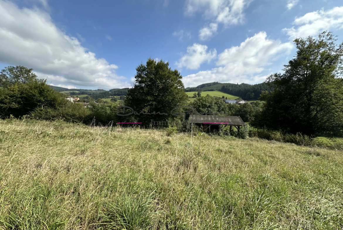 Maison d'Habitation avec Terrain à Thizy-les-Bourgs 