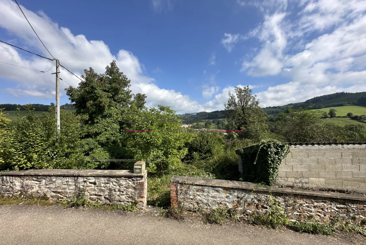 Maison d'Habitation avec Terrain à Thizy-les-Bourgs 