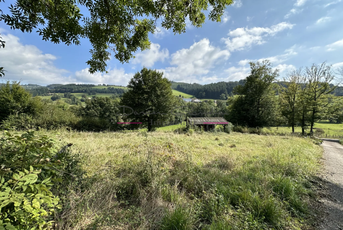 Maison d'Habitation avec Terrain à Thizy-les-Bourgs 