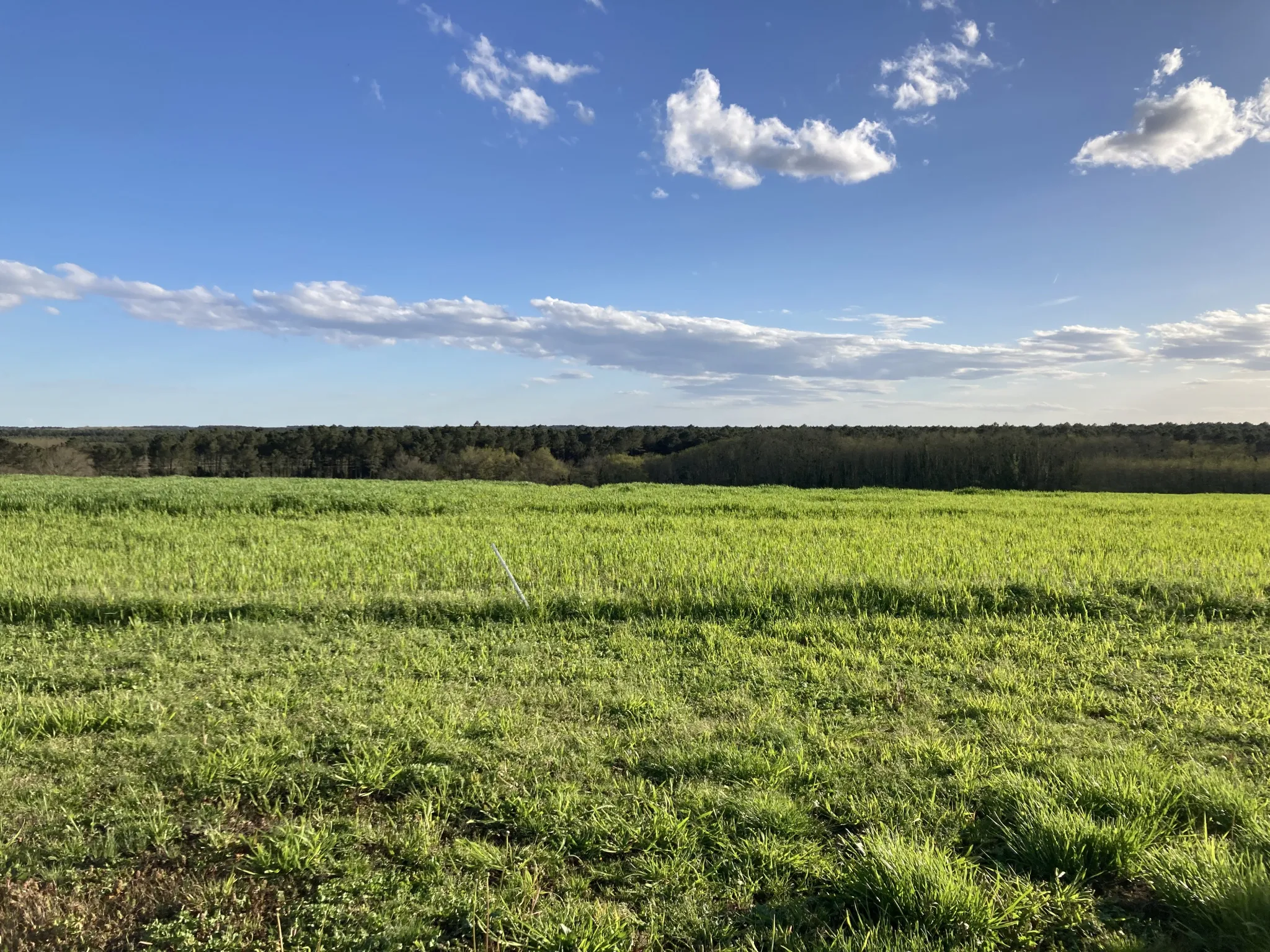 Maison rénovée de 130 m² à Bazas avec jardin et vue dégagée 