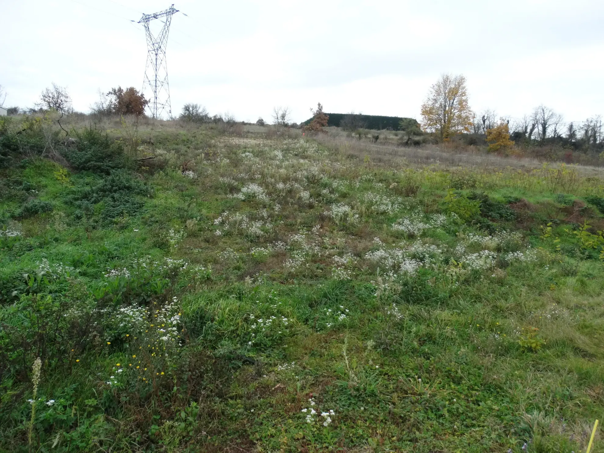 Terrain constructible à vendre près de Romans - Lotissement de 6 lots 