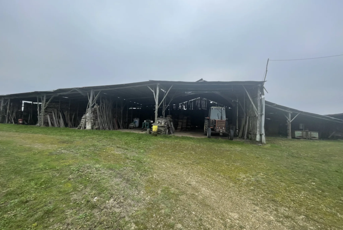 Maison de campagne à Noyant - 137 m² sur 1,5 hectares 