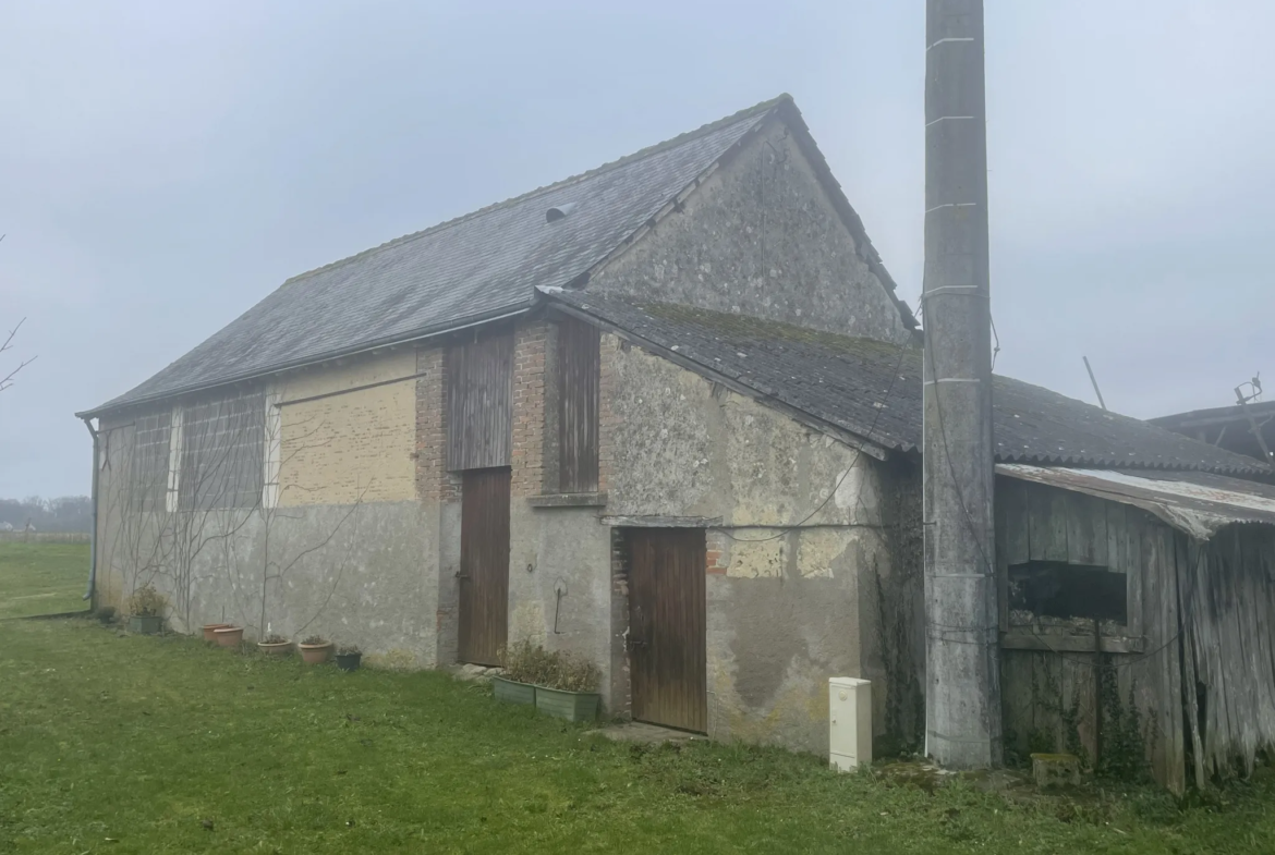 Maison de campagne à Noyant - 137 m² sur 1,5 hectares 