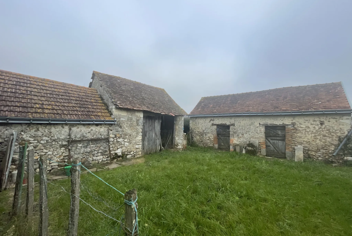 Maison de campagne à Noyant - 137 m² sur 1,5 hectares 