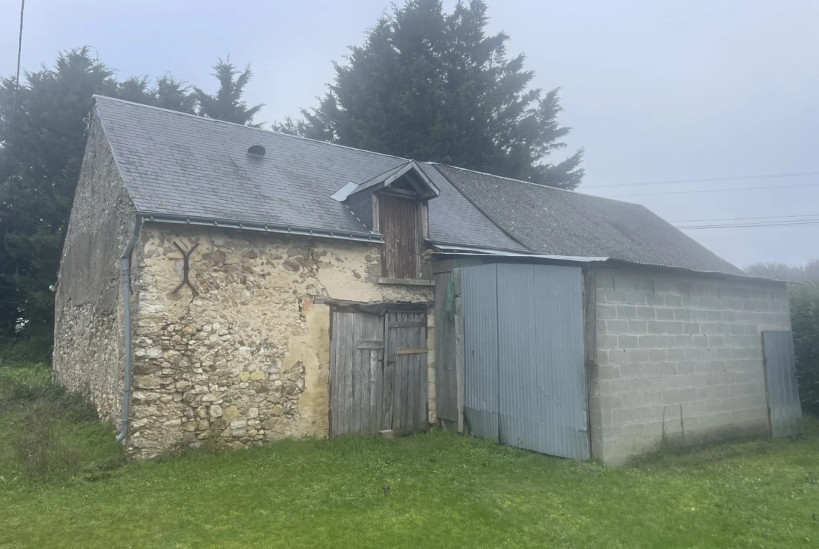 Maison de campagne à Noyant - 137 m² sur 1,5 hectares 