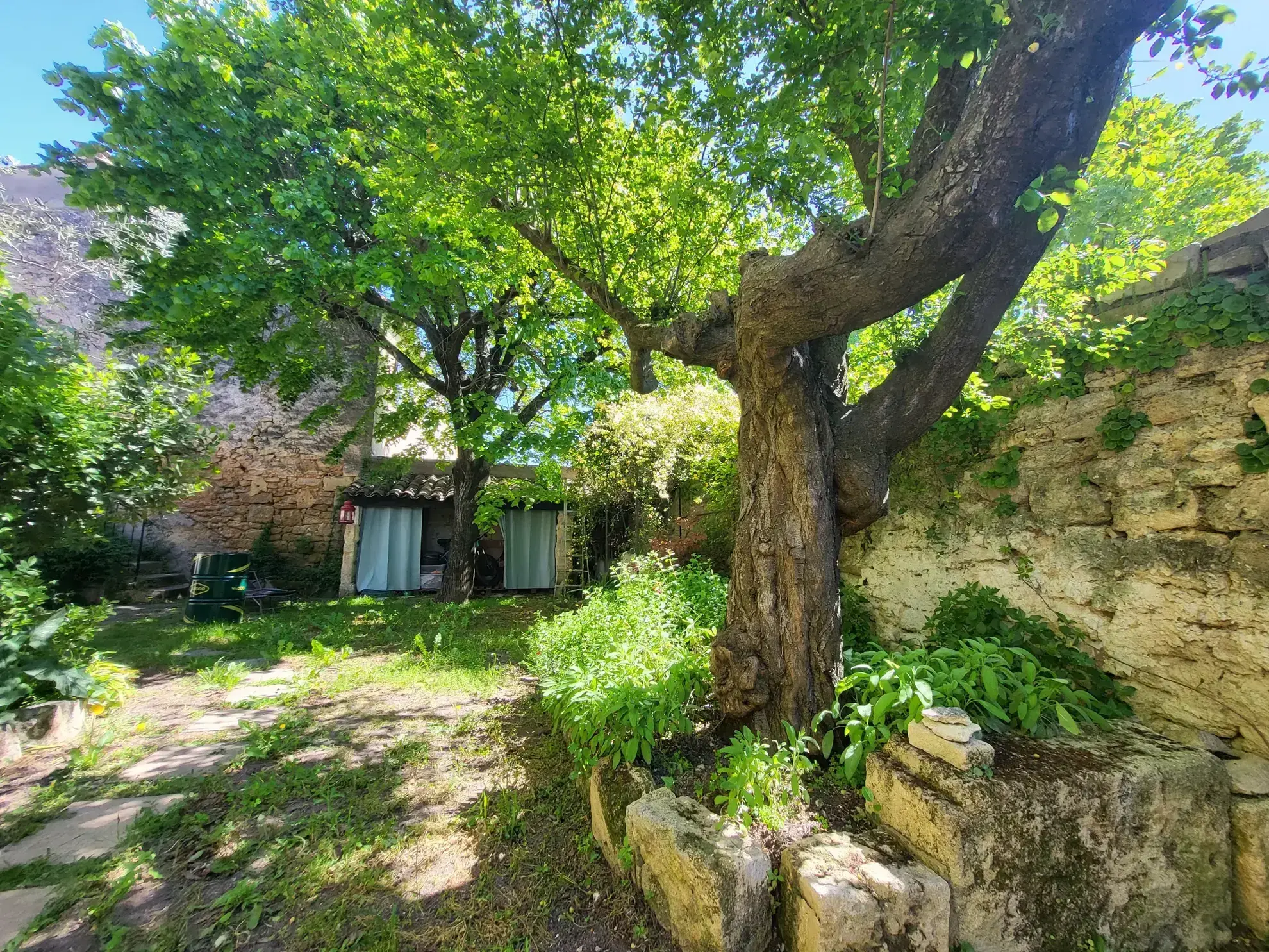 Vente d'une maison vigneronne rénovée à Aujargues 