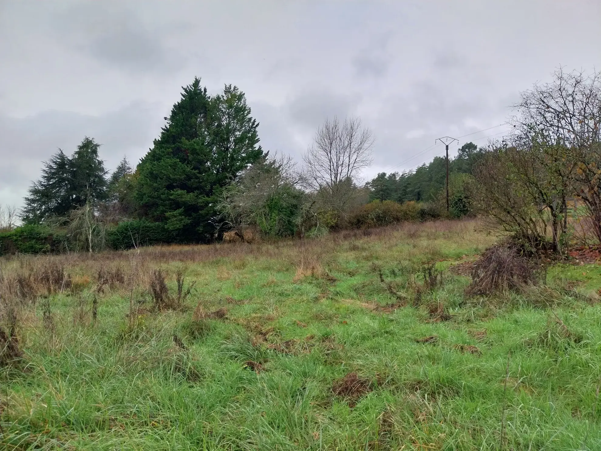 Terrain constructible de 2310 m² à Château L'Évêque 